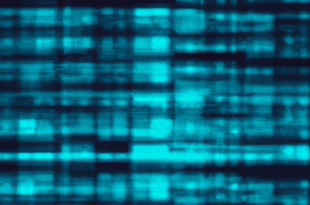 Building the first-party publisher identity graph